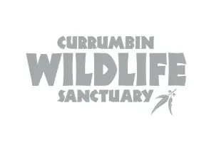 currumbin-300x200.png